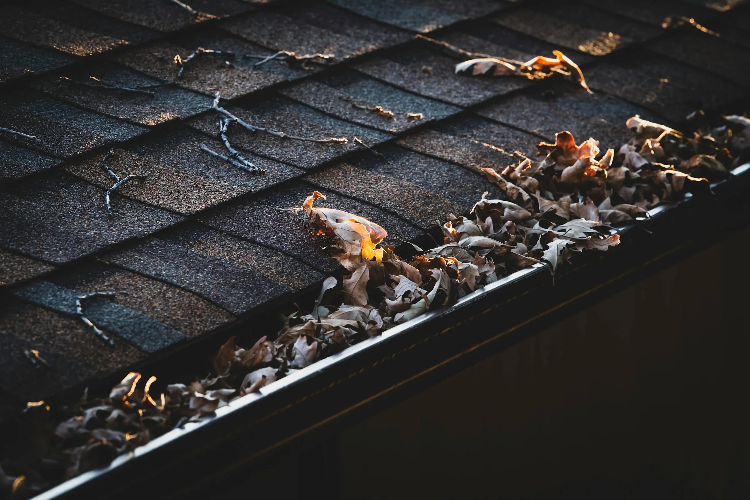 Gutter Damage You Can’t See: What West Portland’s Winter Rain Does to Your Fascia and Roofline